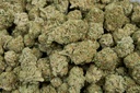 Kush Mintz - THCA Flower 28g Bag
