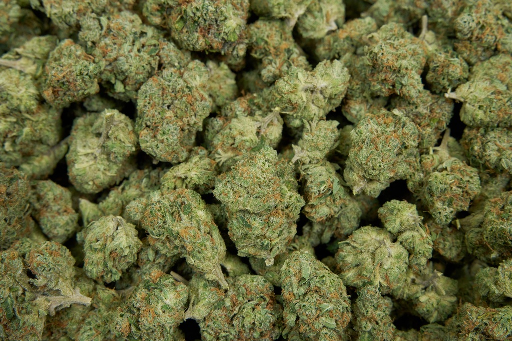 Black Garlic Gelato - THCA Flower 3.5g Bag