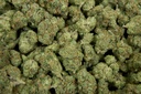 Black Garlic Gelato - THCA Flower 3.5g Bag