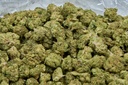 White Runtz Smalls - THCA Flower 28g Bag