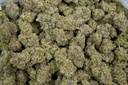 Oreoz - THCA Flower 3.5g Bag