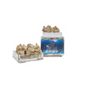 Snow Leopard - Top Jar Flower 2oz