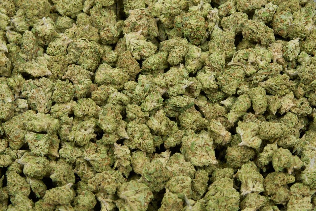 Quarter Pound Mystery Sampler Indoor Smalls
