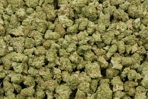 Quarter Pound Mystery Sampler Indoor Smalls